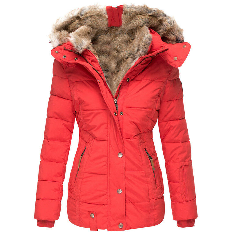Women's Winter Warm Hooded Cotton Jacket